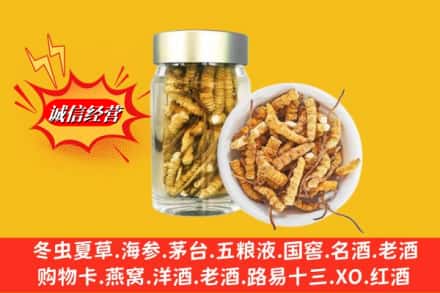 资源县回收散虫草