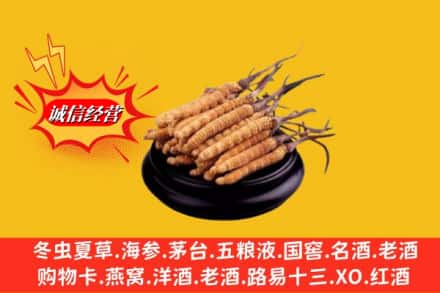 资源县求购回收虫草多少钱每克